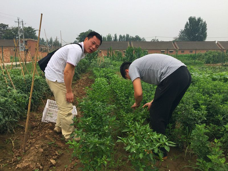 好利來(lái)郭總喊您來(lái)摘菜啦！綠色無(wú)公害，放心！