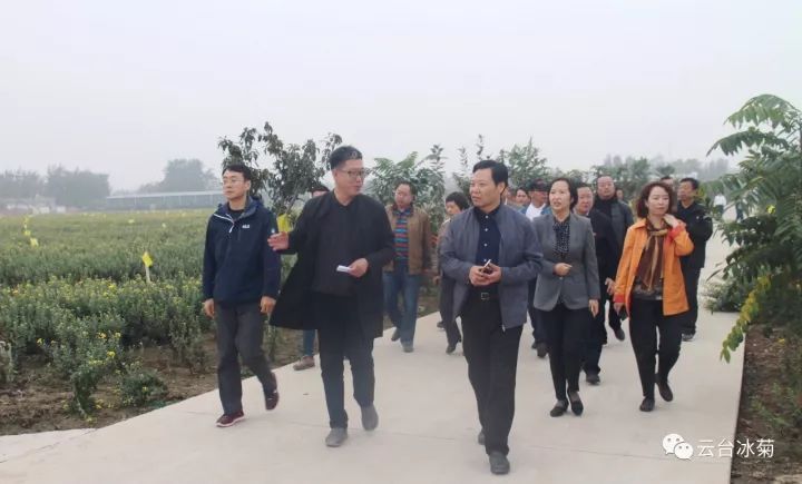 云臺冰菊基地發(fā)生了什么？一批批領(lǐng)導專(zhuān)家團隊前來(lái)！